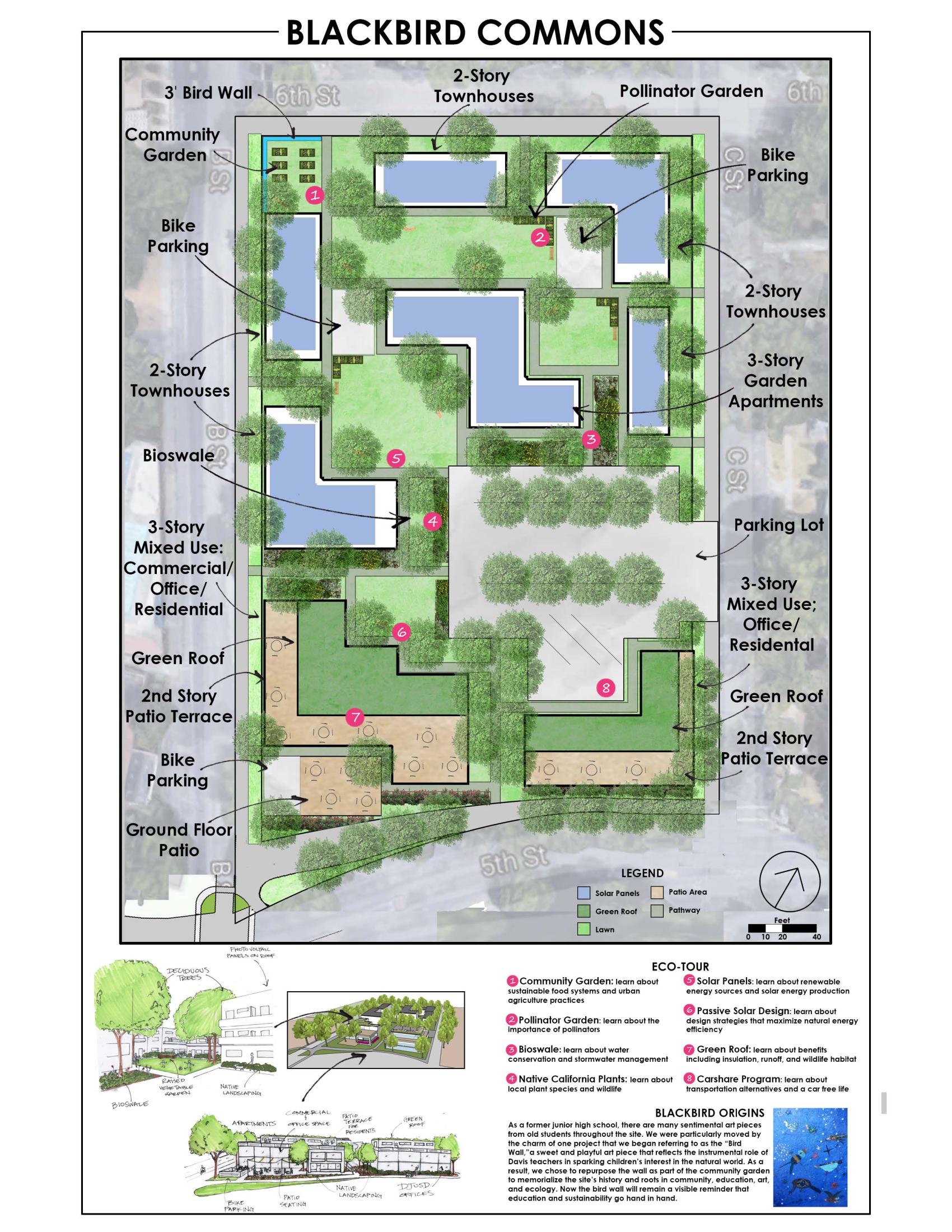 Blackbird Commons Site Design 2017