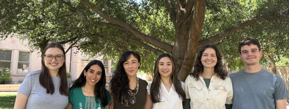 Falbe Lab