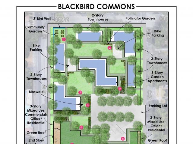 Blackbird Commons site design
